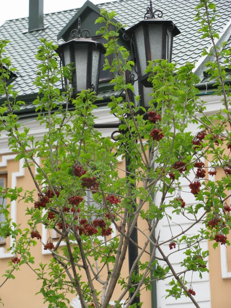 Фото 2 - Кременец. Западная Украина (автор Владимир Беспалов)