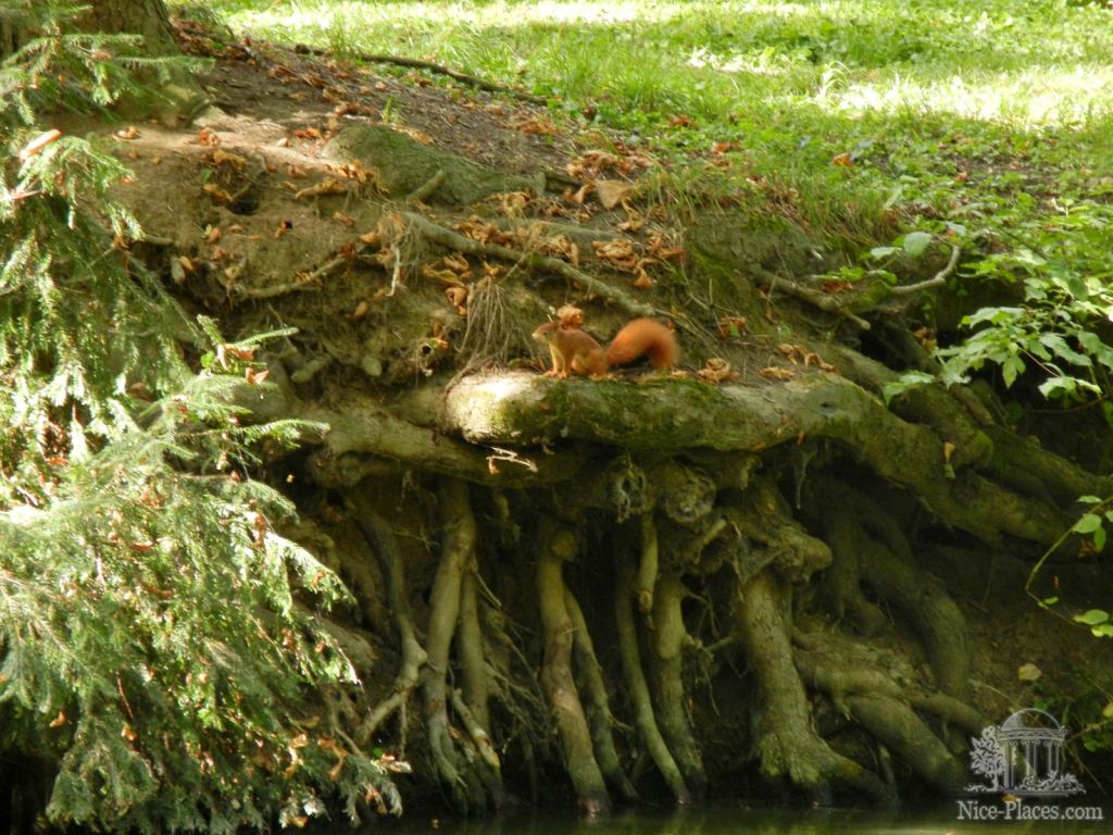 Фото 23 - Ледницкий замок в Чехии. Часть 2. Парк