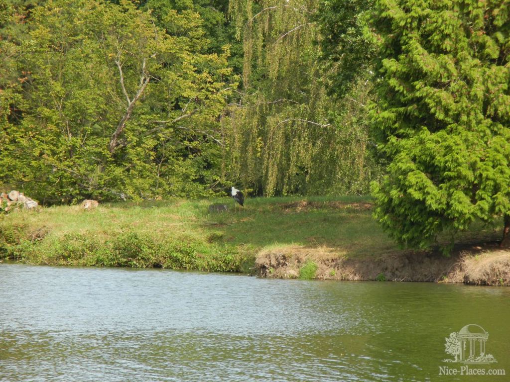 Фото 37 - Ледницкий замок в Чехии. Часть 2. Парк