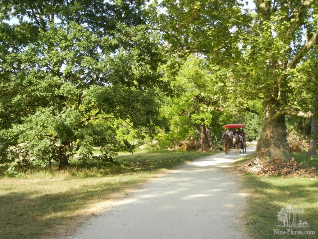 Фото 50 - Ледницкий замок в Чехии. Часть 2. Парк