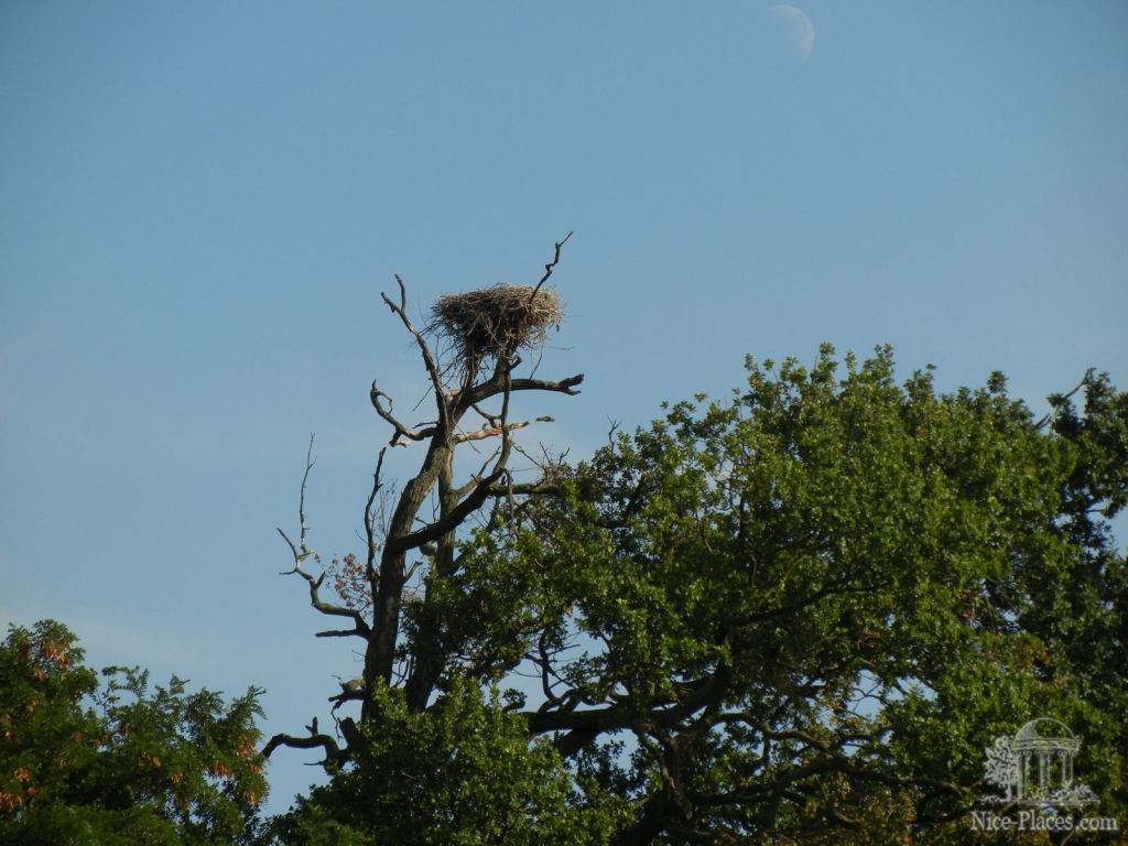 Фото 53 - Ледницкий замок в Чехии. Часть 2. Парк
