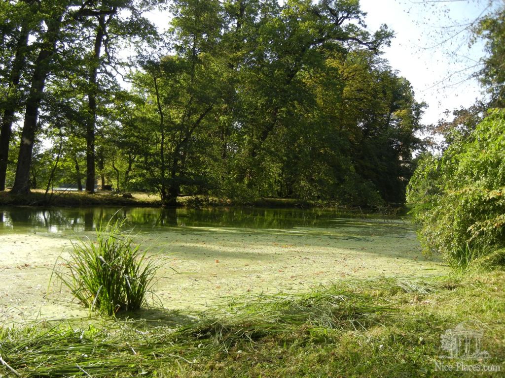 Фото 55 - Ледницкий замок в Чехии. Часть 2. Парк