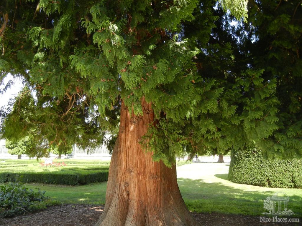 Фото 30 - Ледницкий замок в Чехии. Часть 1