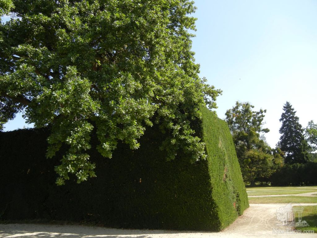 Фото 33 - Ледницкий замок в Чехии. Часть 1