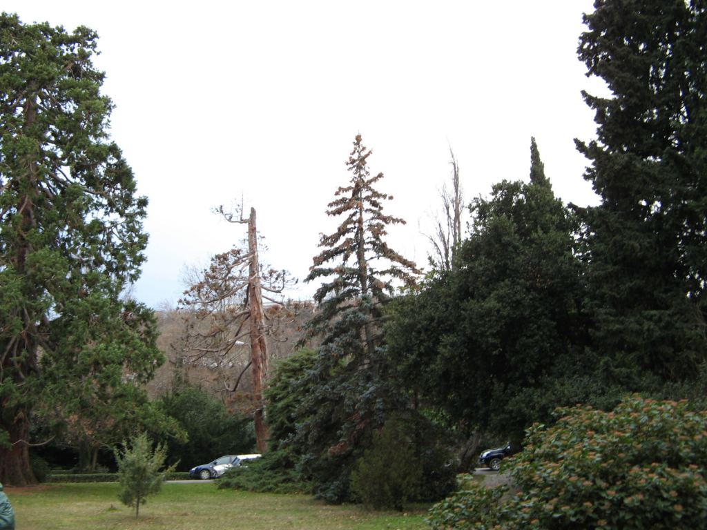 Фото 2 - Крым. Ливадийский дворец