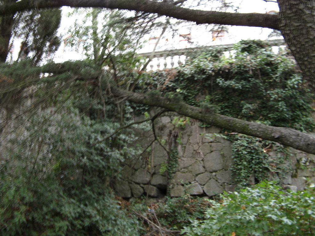 Фото 23 - Крым. Ливадийский дворец