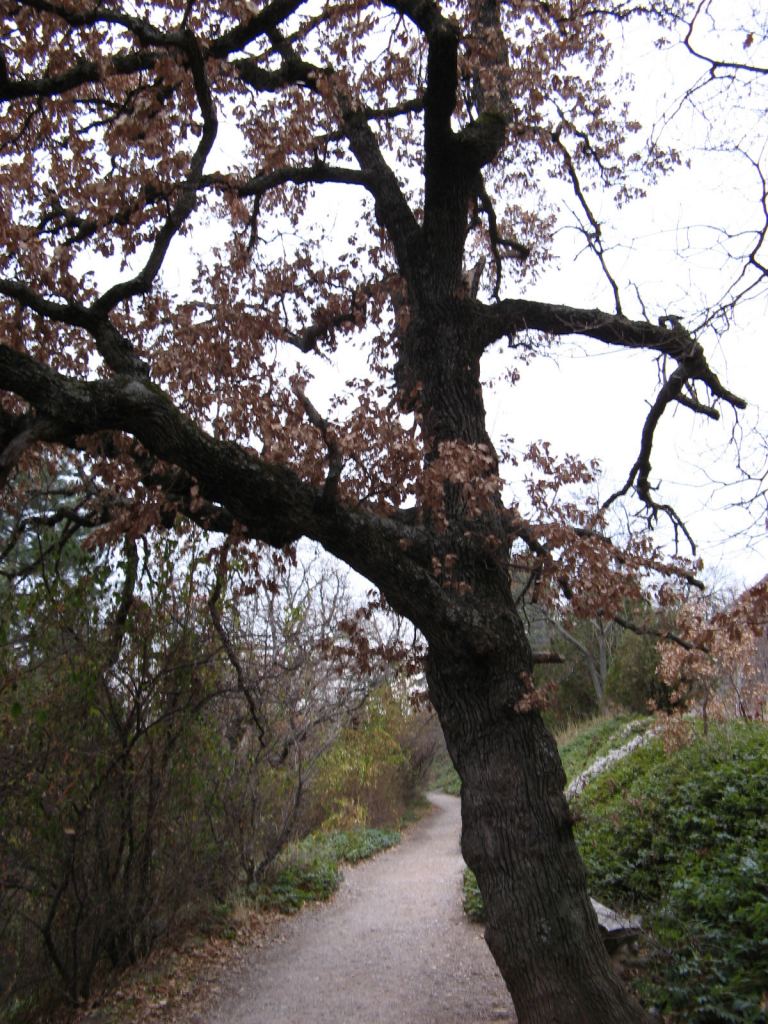 Фото 28 - Крым. Ливадийский дворец