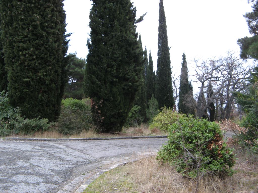 Фото 29 - Крым. Ливадийский дворец