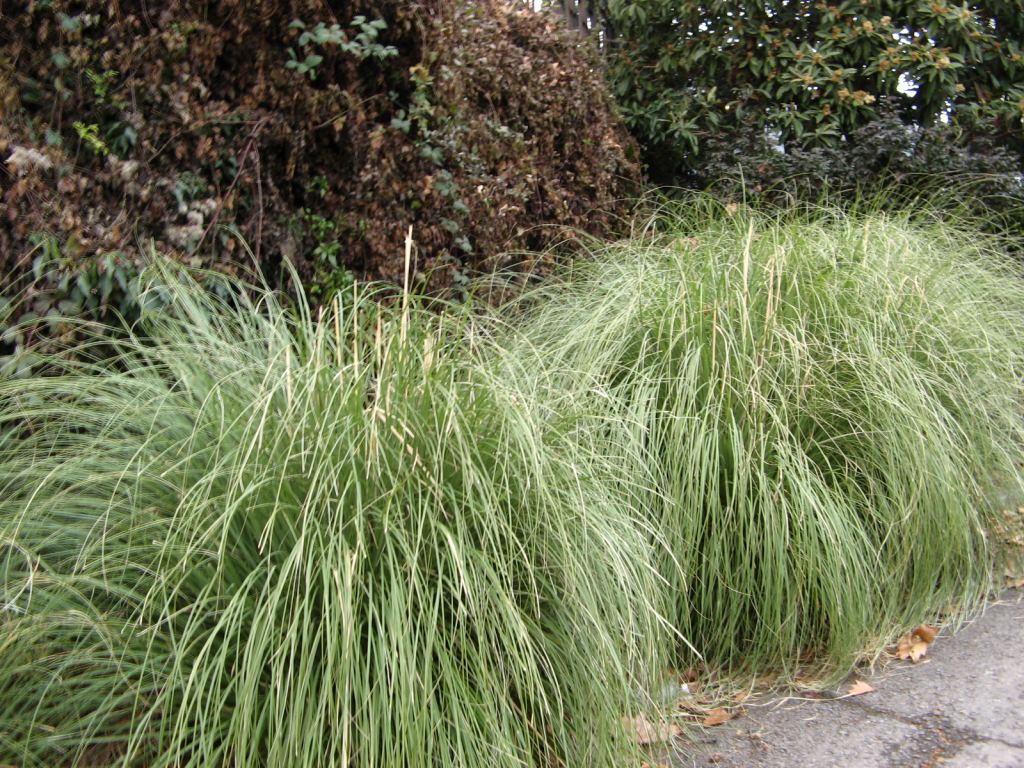 Фото 33 - Крым. Ливадийский дворец