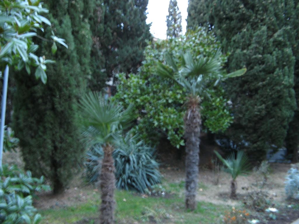 Фото 60 - Крым. Ливадийский дворец