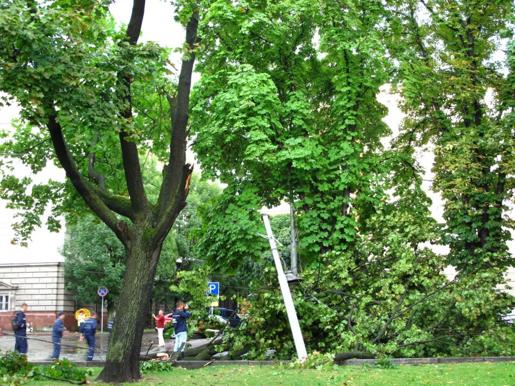 После прошедшей стихии во Львове (конец июля 2009) - Улицами Львова