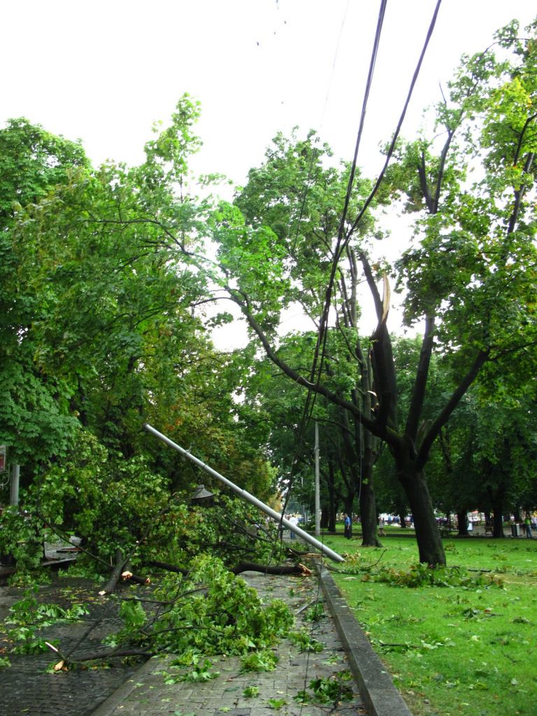 После прошедшей стихии во Львове (конец июля 2009) - Улицами Львова