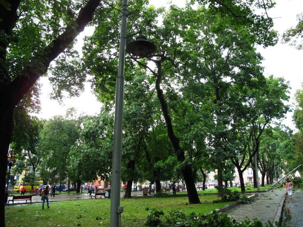 После прошедшей стихии во Львове (конец июля 2009) - Улицами Львова