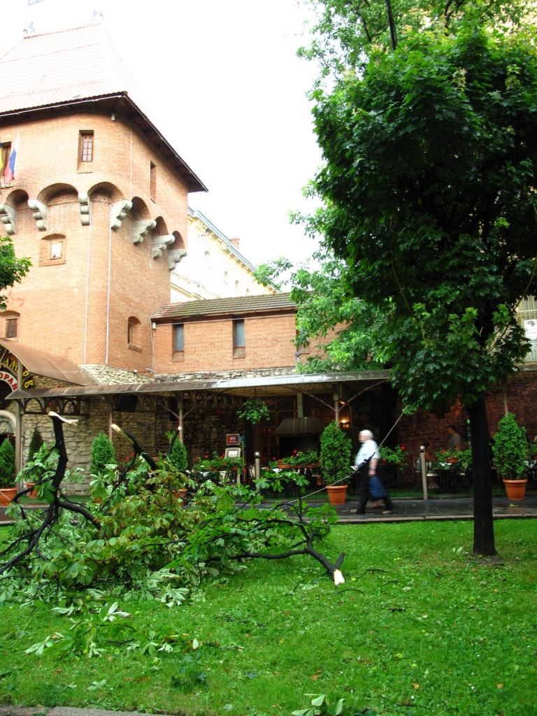 Последствия урагана во Львове - Улицами Львова