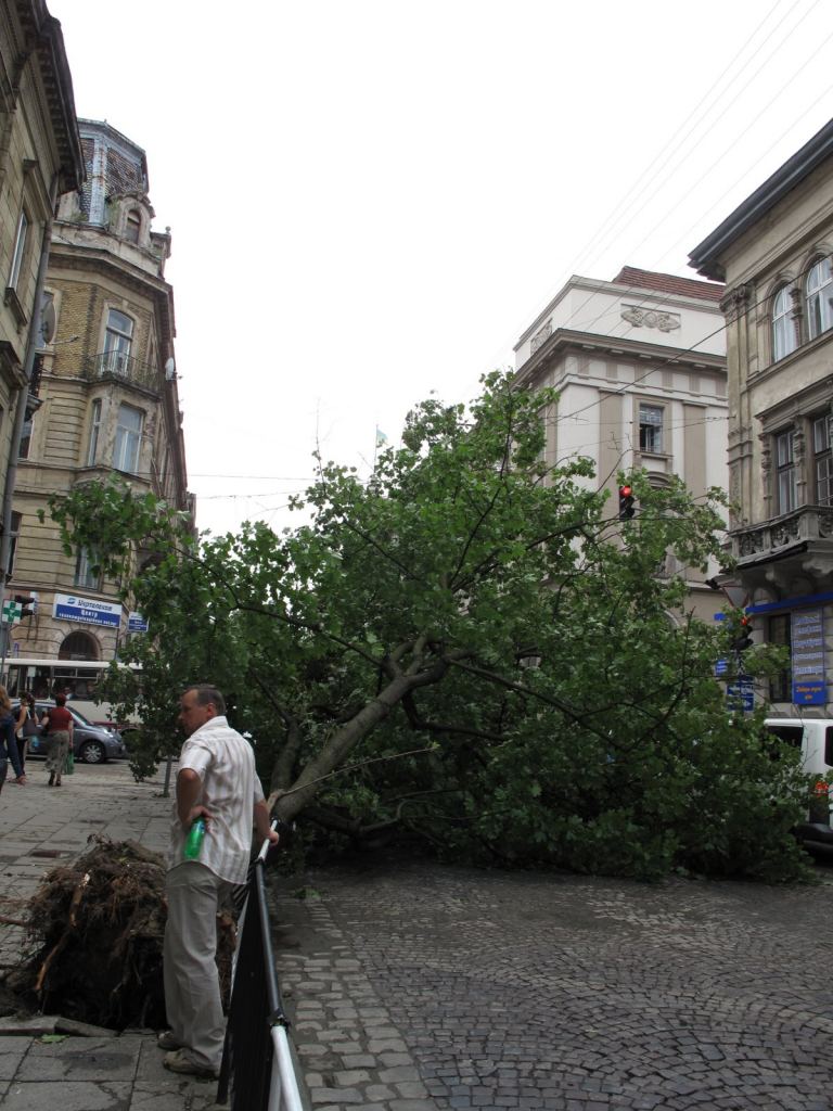 Фото 56 - Улицами Львова