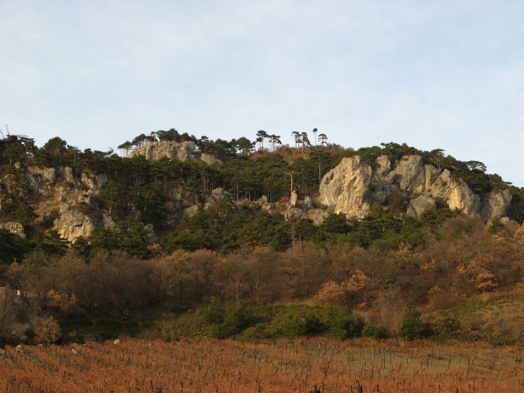 Фото 1 - Крым. Массандровский дворец