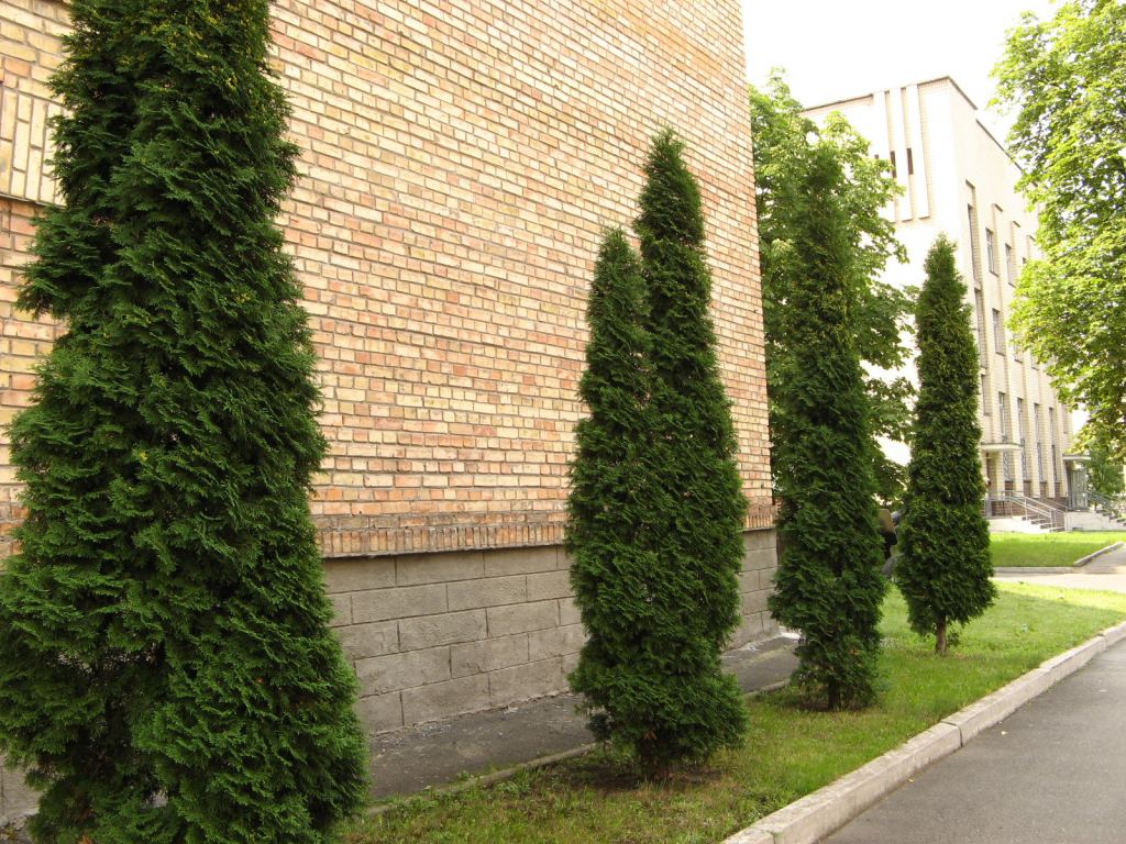 Фото 34 - Музей военной техники (Киев)