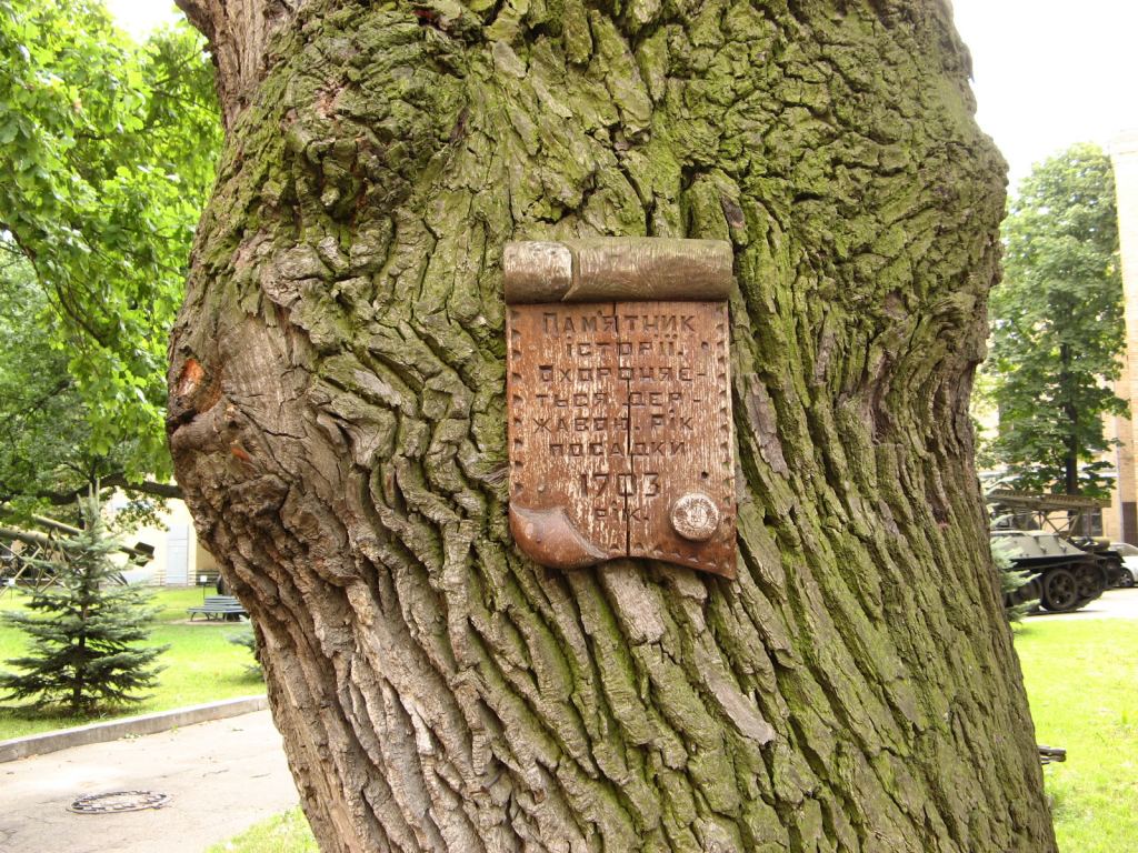 Фото 35 - Музей военной техники (Киев)