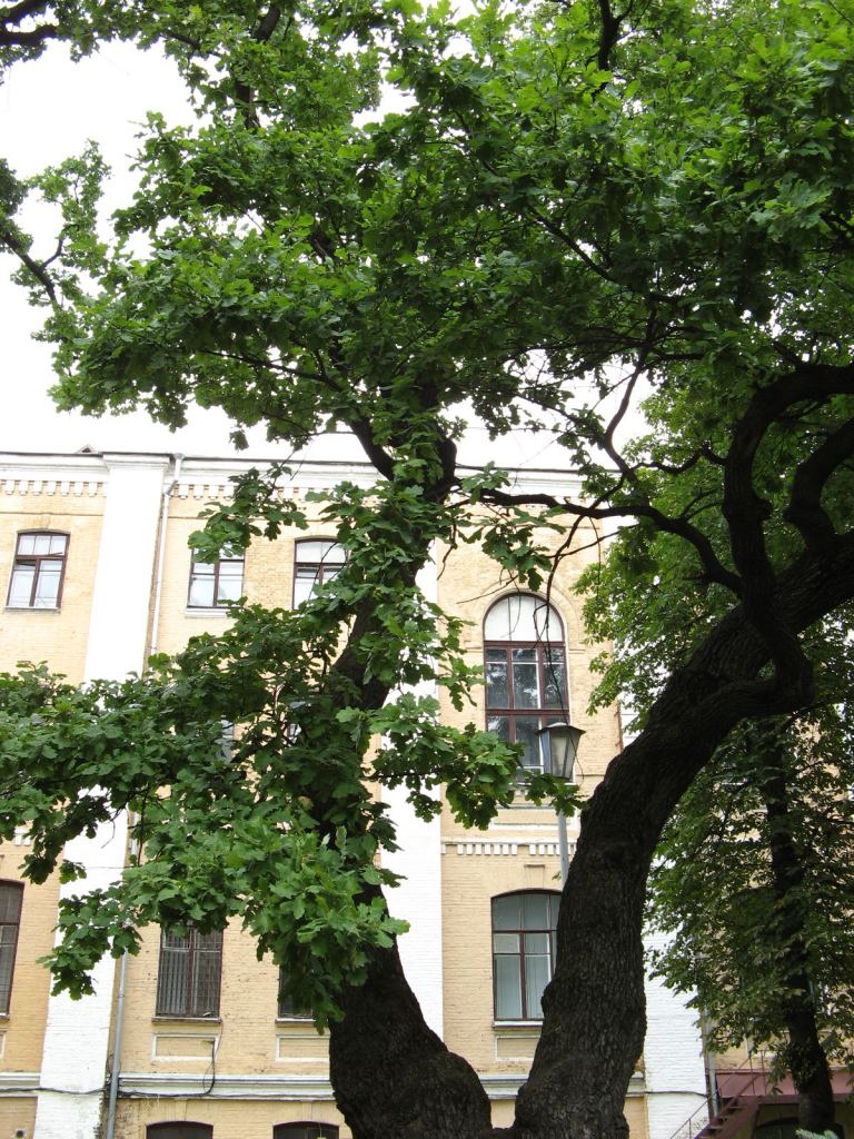 Фото 37 - Музей военной техники (Киев)