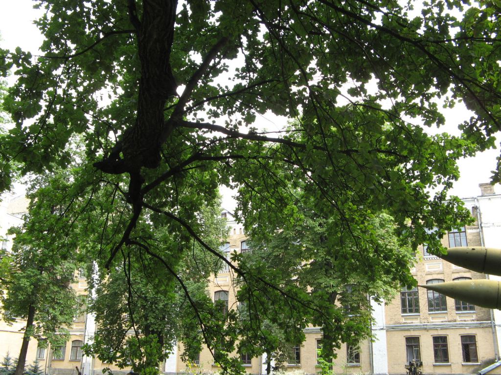 Фото 65 - Музей военной техники (Киев)