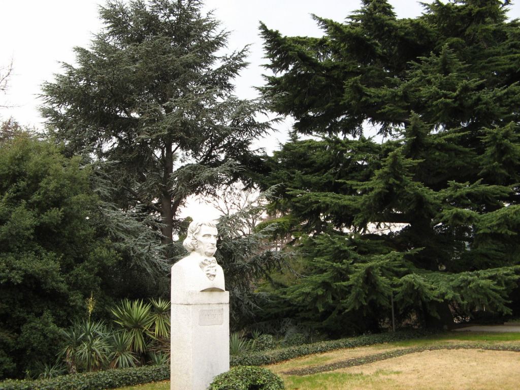 Фото 7 - Никитский ботанический сад (Крым)