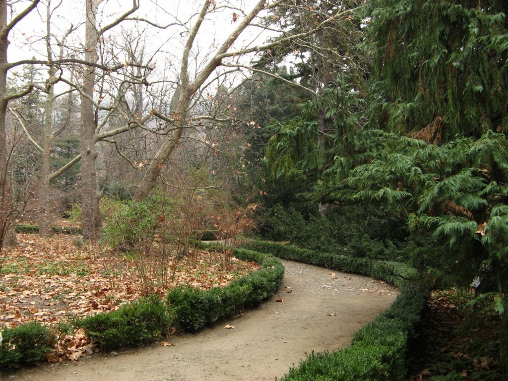 Фото 18 - Никитский ботанический сад (Крым)