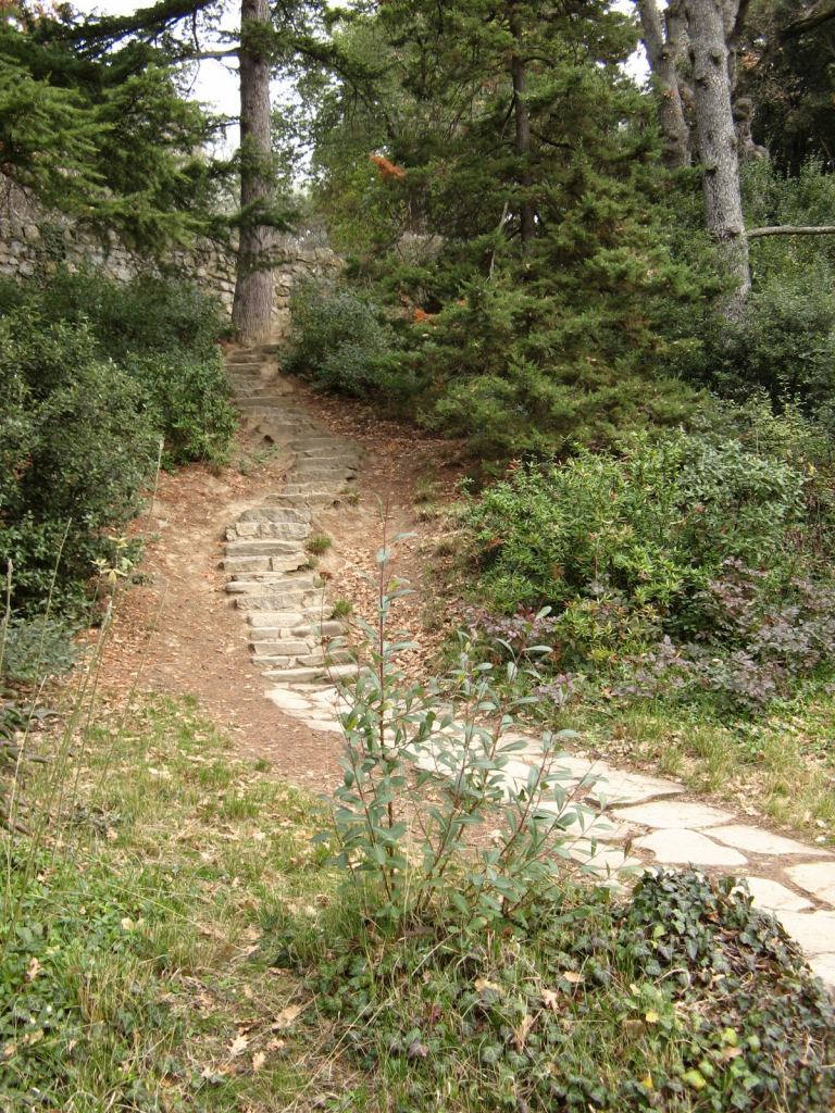 Фото 43 - Никитский ботанический сад (Крым)