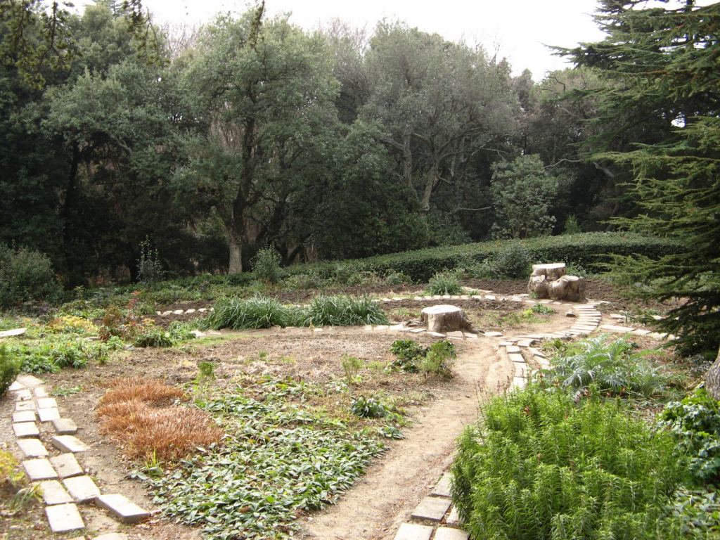 Фото 44 - Никитский ботанический сад (Крым)