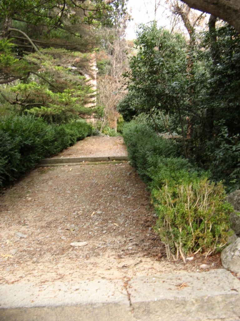 Фото 53 - Никитский ботанический сад (Крым)