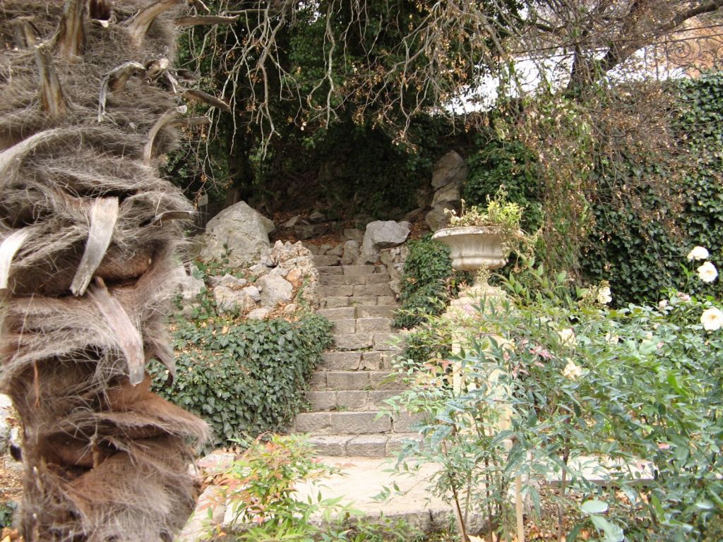 Фото 59 - Никитский ботанический сад (Крым)