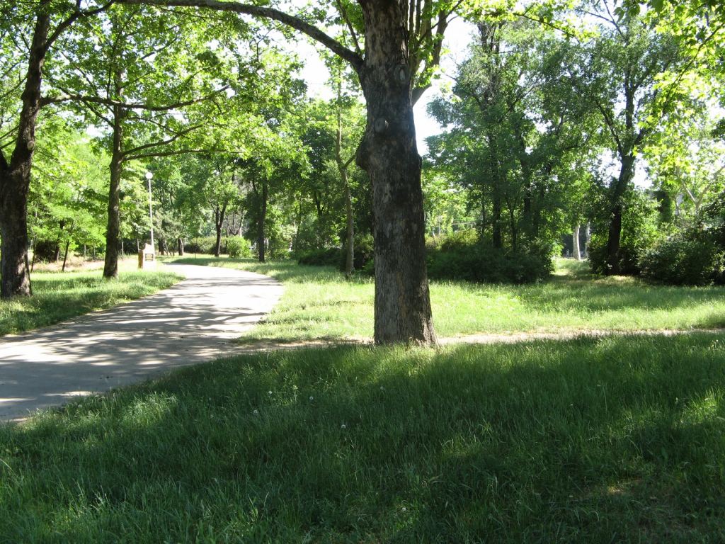 Фото 2 - Весенний парк Победы