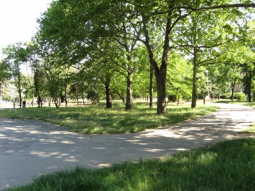 Фото 3 - Весенний парк Победы