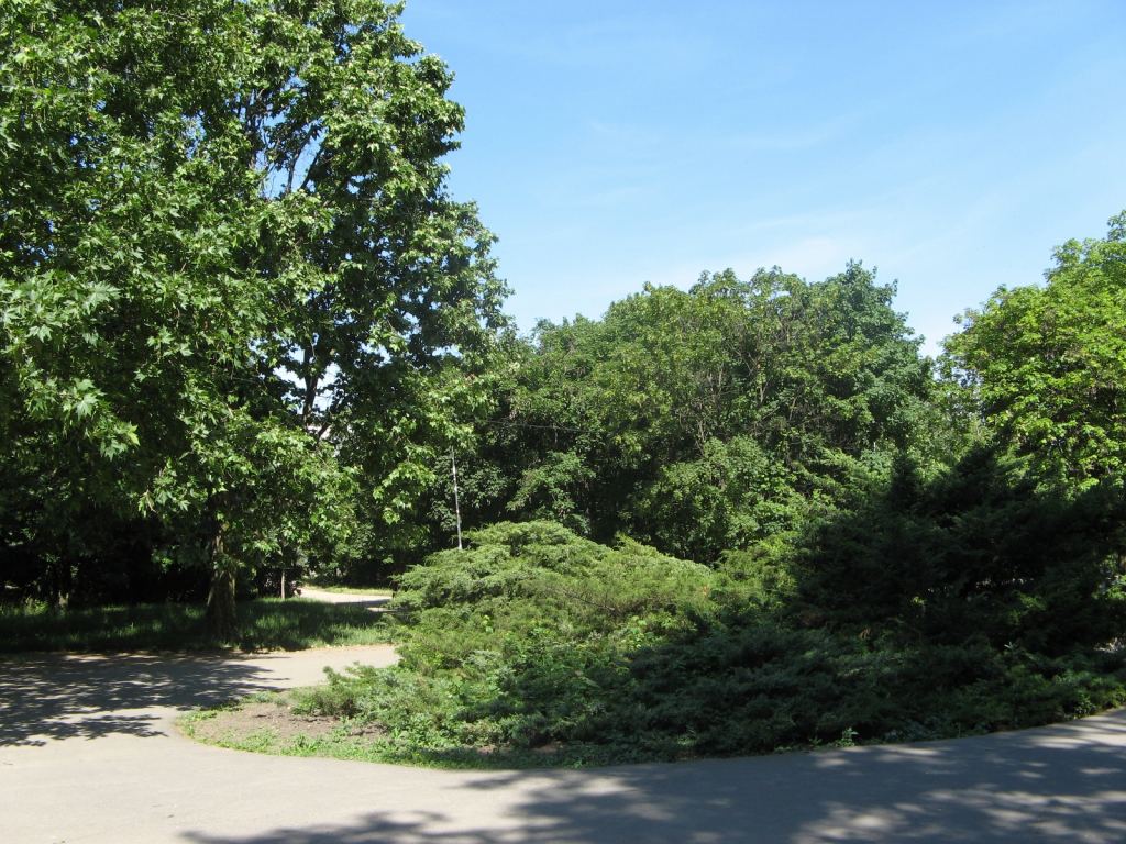 Фото 4 - Весенний парк Победы