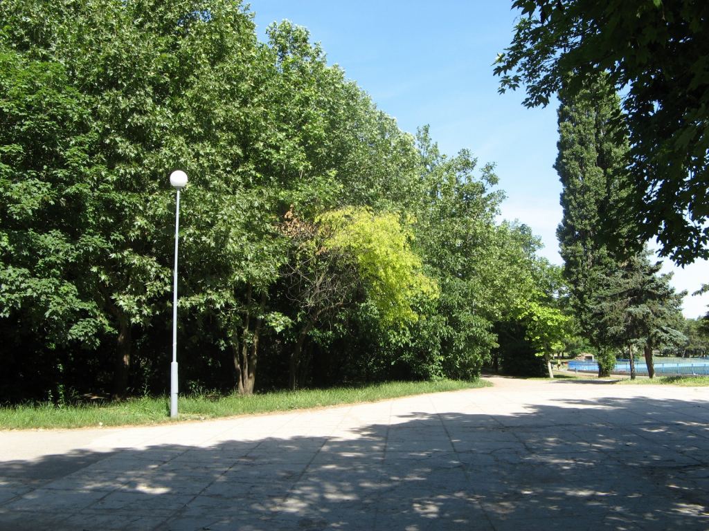 Фото 6 - Весенний парк Победы