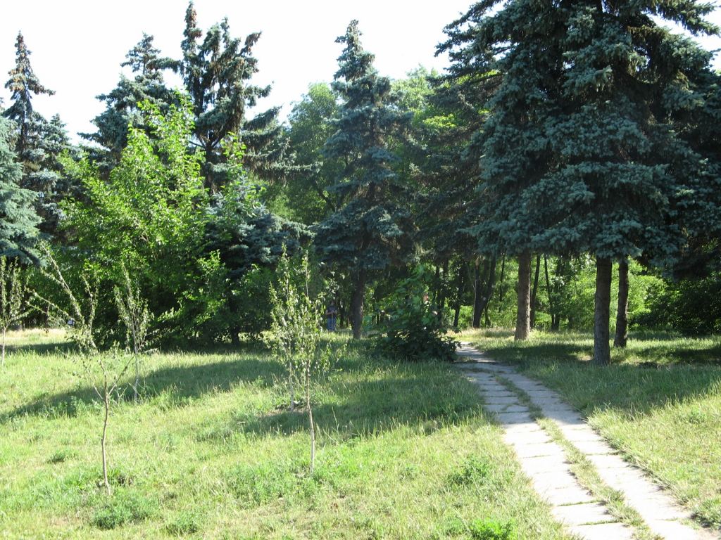 Фото 11 - Весенний парк Победы