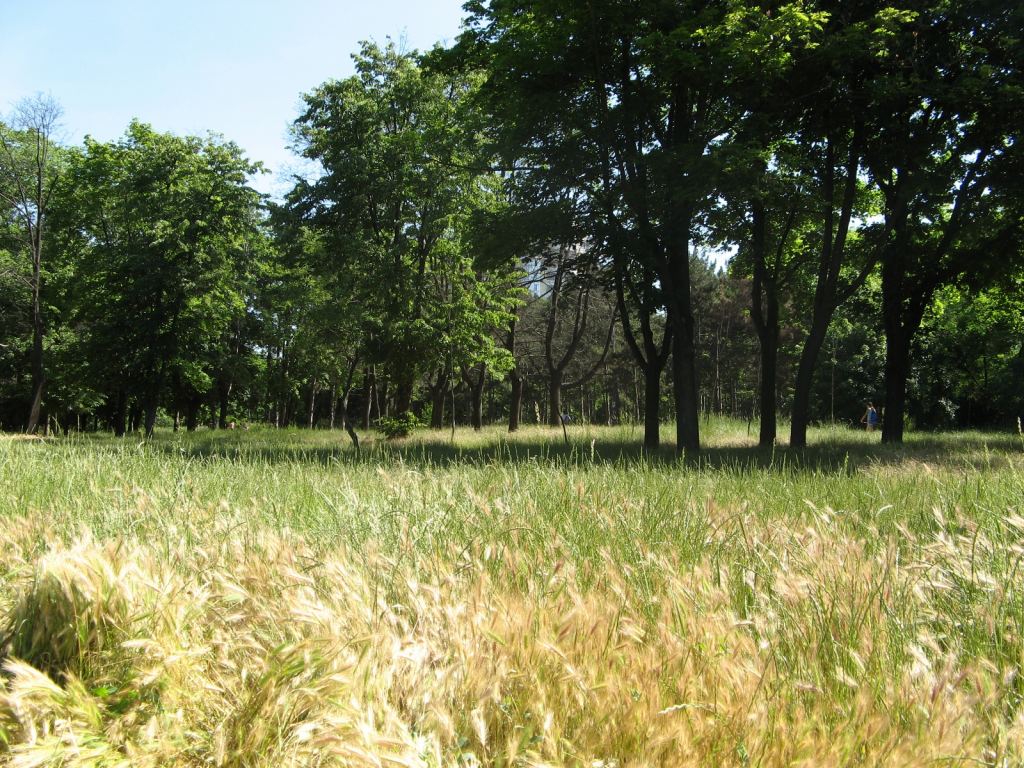 Фото 14 - Весенний парк Победы