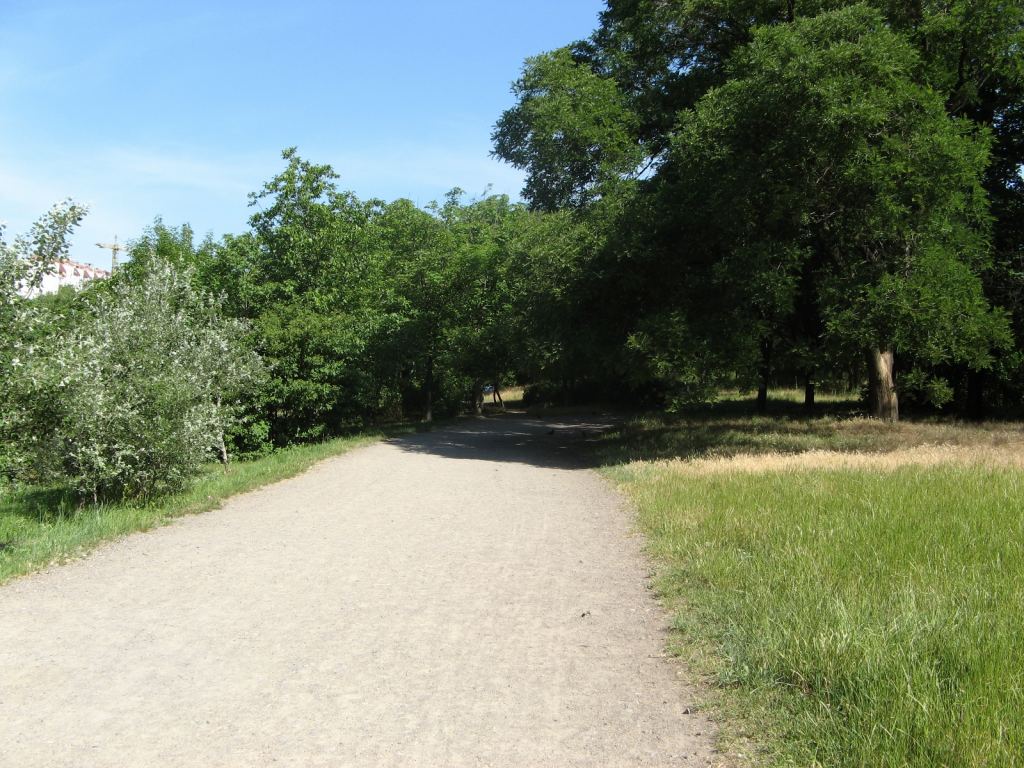Фото 15 - Весенний парк Победы