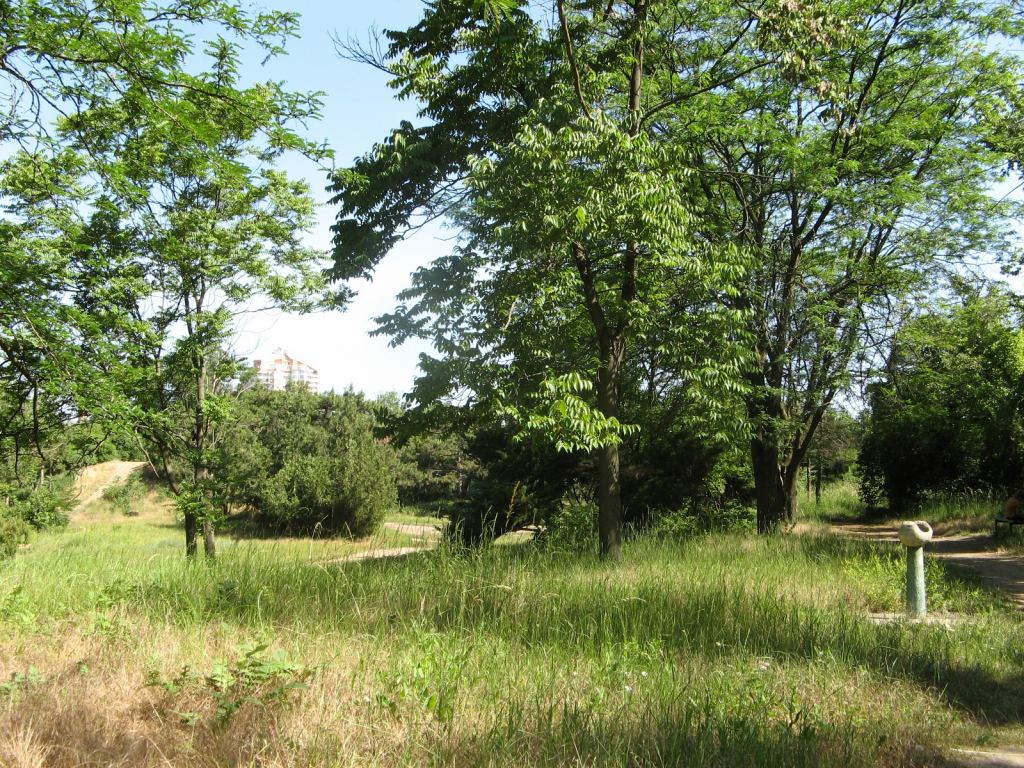 Фото 16 - Весенний парк Победы