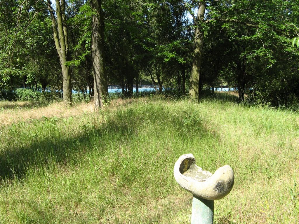 Фото 17 - Весенний парк Победы