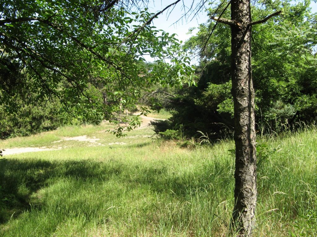 Фото 18 - Весенний парк Победы