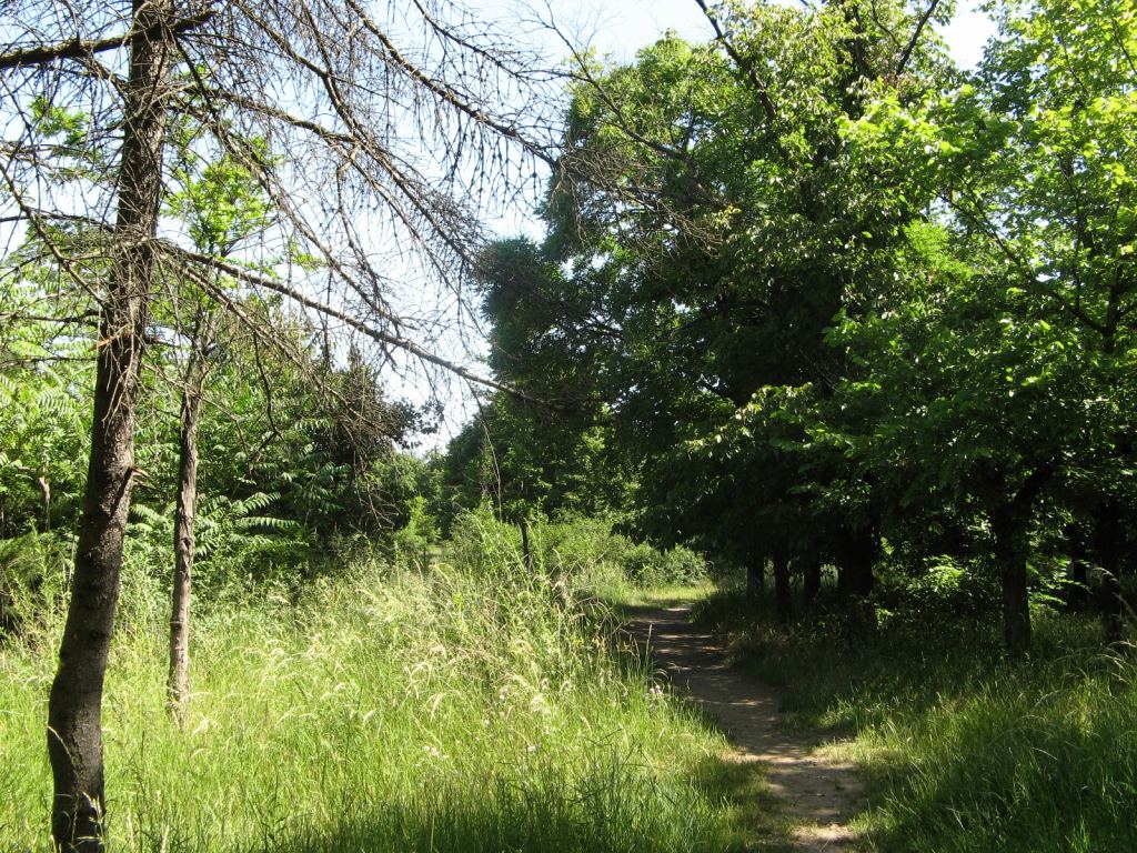 Фото 19 - Весенний парк Победы