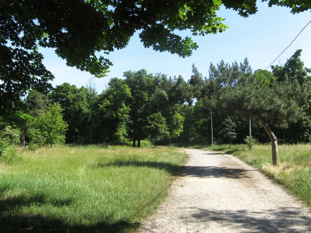 Фото 20 - Весенний парк Победы