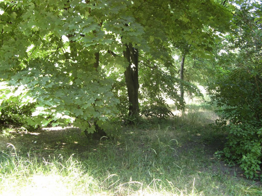 Фото 22 - Весенний парк Победы