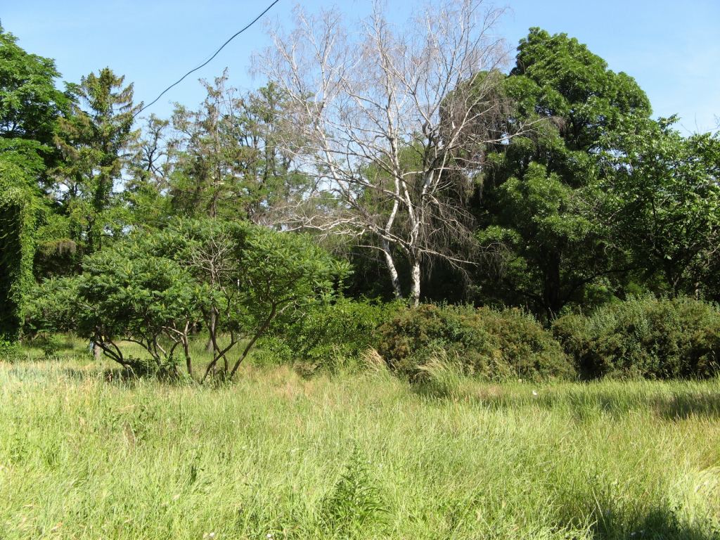 Фото 24 - Весенний парк Победы