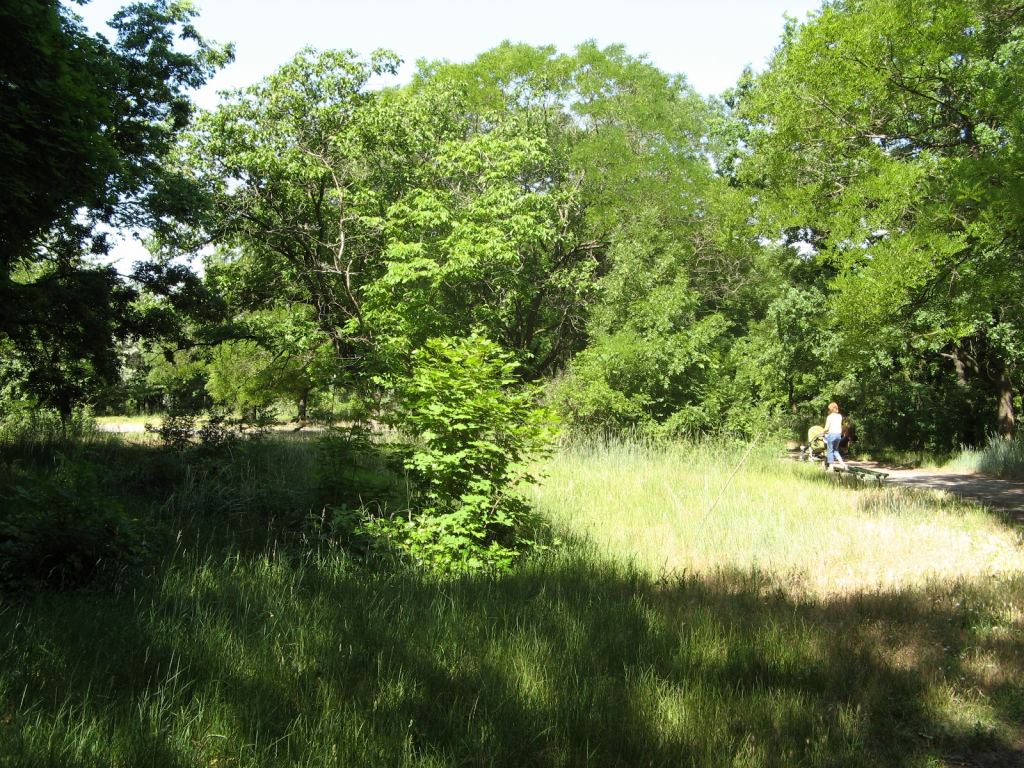 Фото 26 - Весенний парк Победы