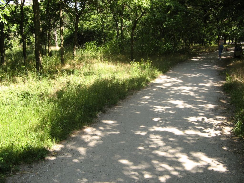 Фото 28 - Весенний парк Победы