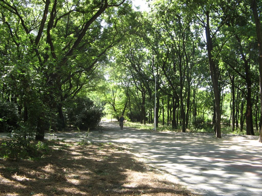 Фото 29 - Весенний парк Победы