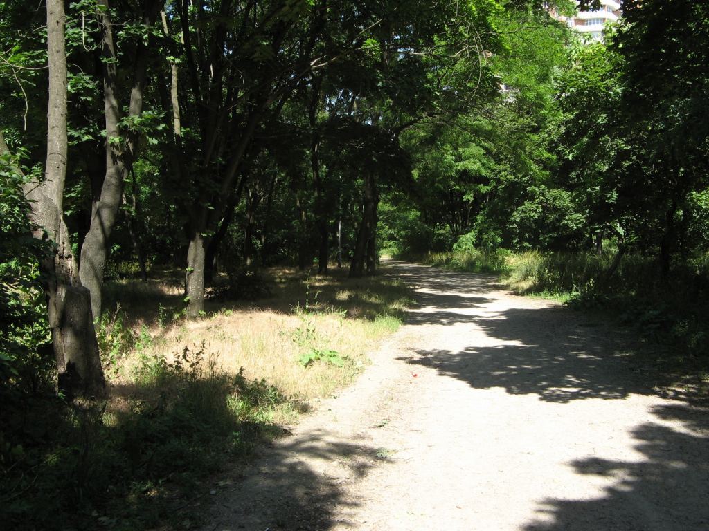 Фото 30 - Весенний парк Победы