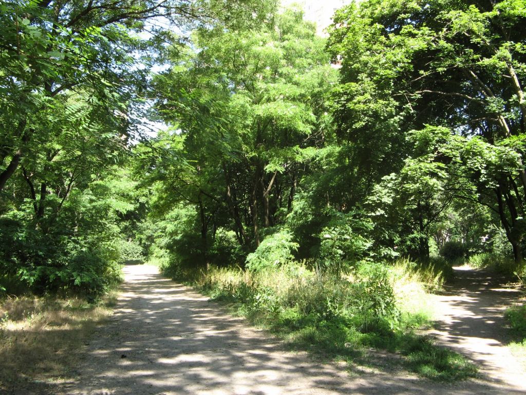 Фото 31 - Весенний парк Победы