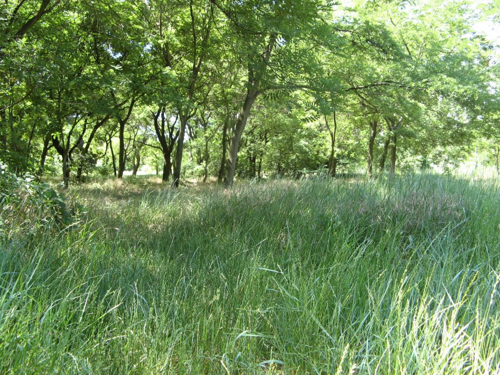 Фото 34 - Весенний парк Победы